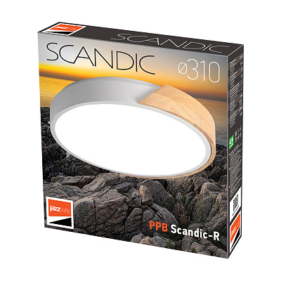 Светильник светодиодный потолочный PPB Scandic-R 24w 4000K WH/W IP20