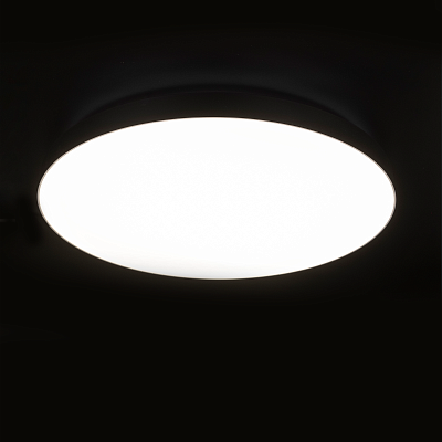 Светильник светодиодный потолочный PPB Luna 80w