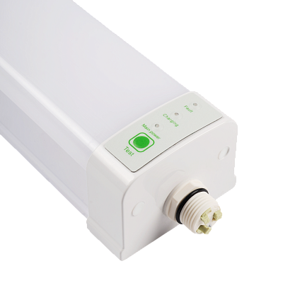 Светильник светодиодный пылевлагозащищенный PWP-C3-E1 600 18w 4000K с БАП IP65