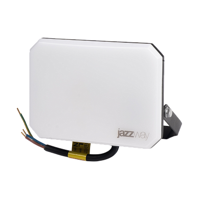 Прожектор светодиодный PFL-SA 50W OPAL
