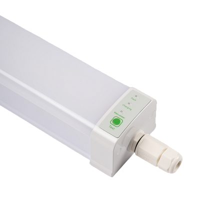 Светильник светодиодный пылевлагозащищенный с БАП PWP-С3-E1 1200 36w 4000K