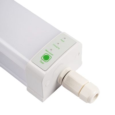 Светильник светодиодный пылевлагозащищенный PWP-C3-E1 600 18w 4000K с БАП IP65