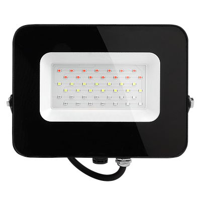 Прожектор светодиодный PFL RGB 30w BL