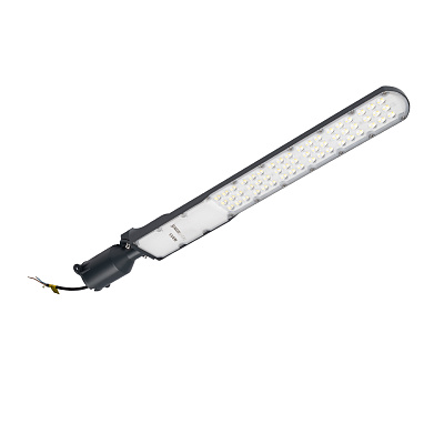 Светильник светодиодный консольный PSL 09 50W 4000K GR IP65