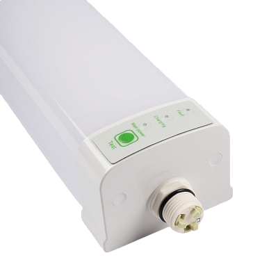Светильник светодиодный пылевлагозащищенный с БАП PWP-С3-E1 1200 36w 4000K